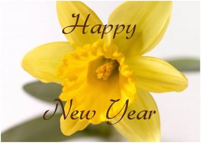 Happy New Year