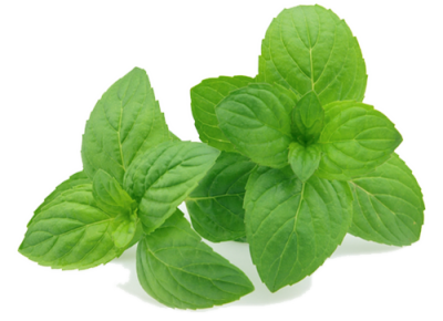 5 Peppermint Essential Oil Uses