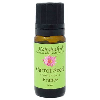 Carrot Seed Essential Oil