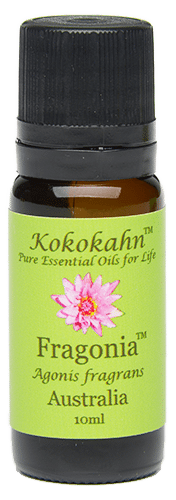 Kokokahn Fragonia Essential Oil