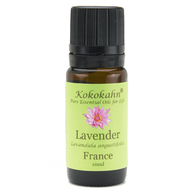 Lavender Essential Oil Kokokahn Essential Oils