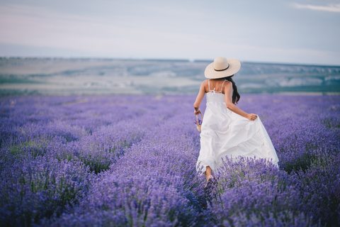 Lavender-Fields