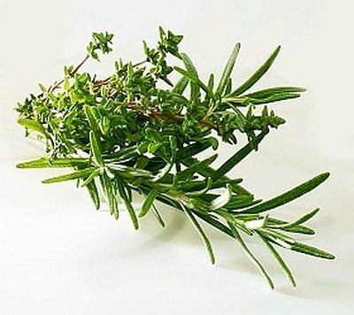 Rosemary