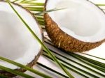 Coconut Oil
